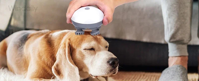 Electric Scalp Massager Pro